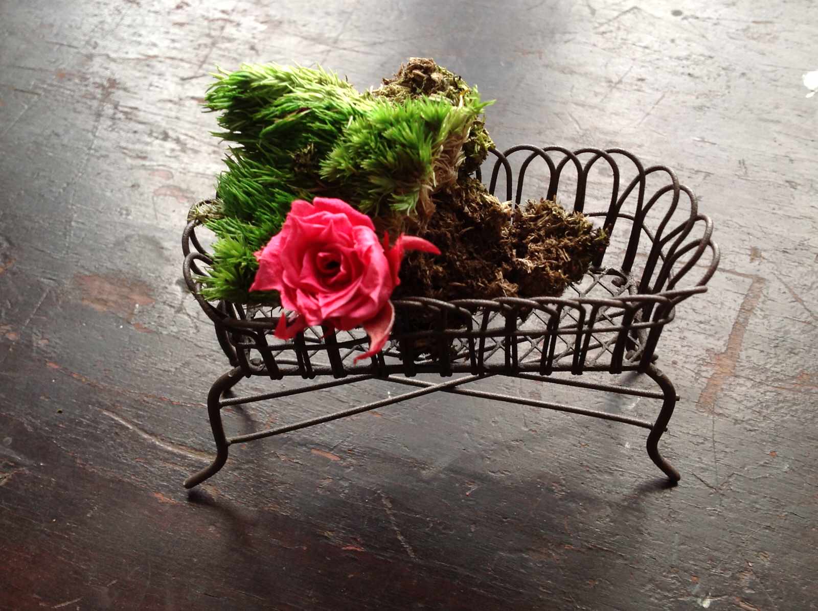 Обложка проекта: Фэншуй композиция_райский сад для Ганеши