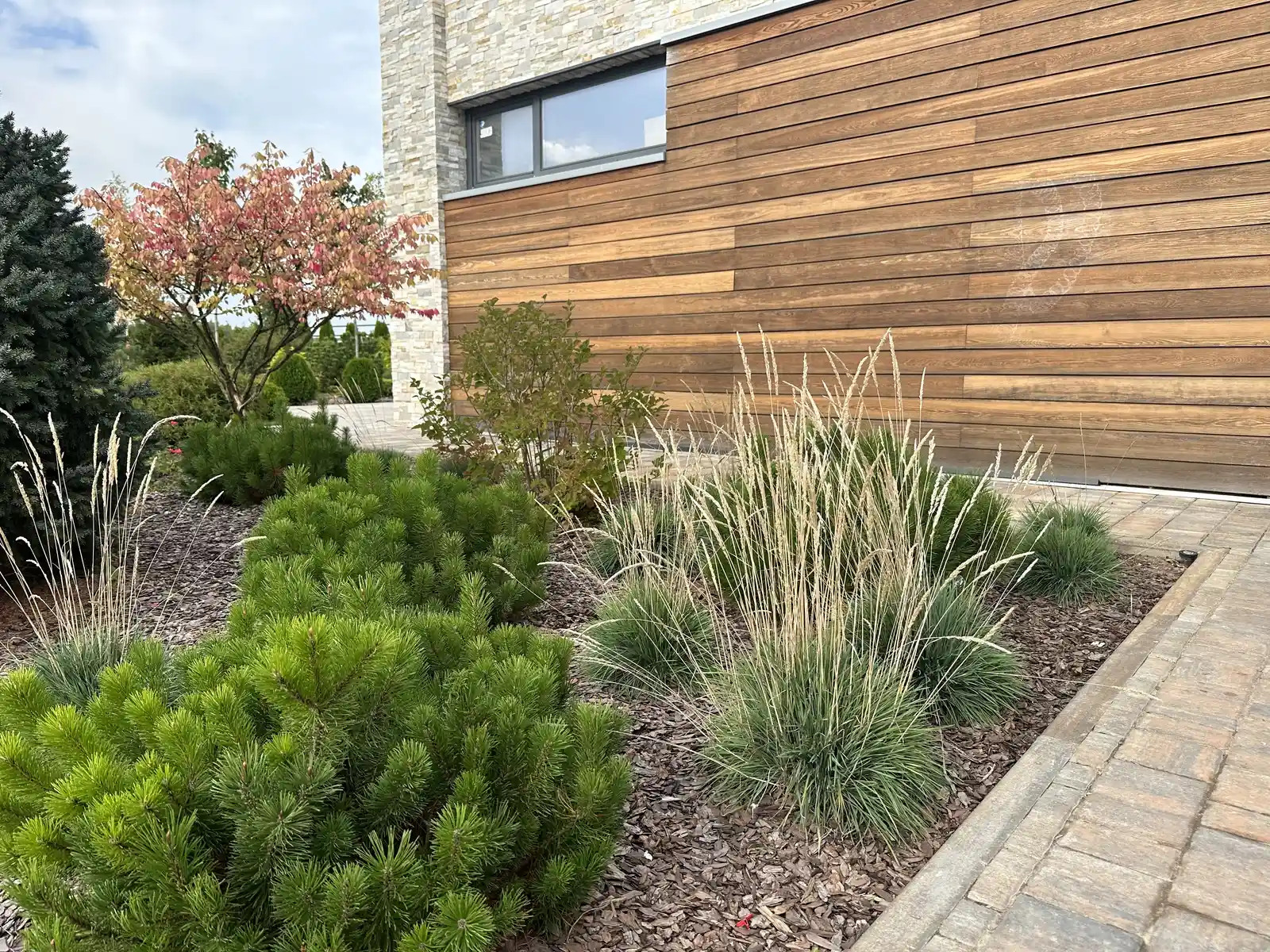 «НА ЗАПОВЕДНЫХ БЕРЕГАХ»