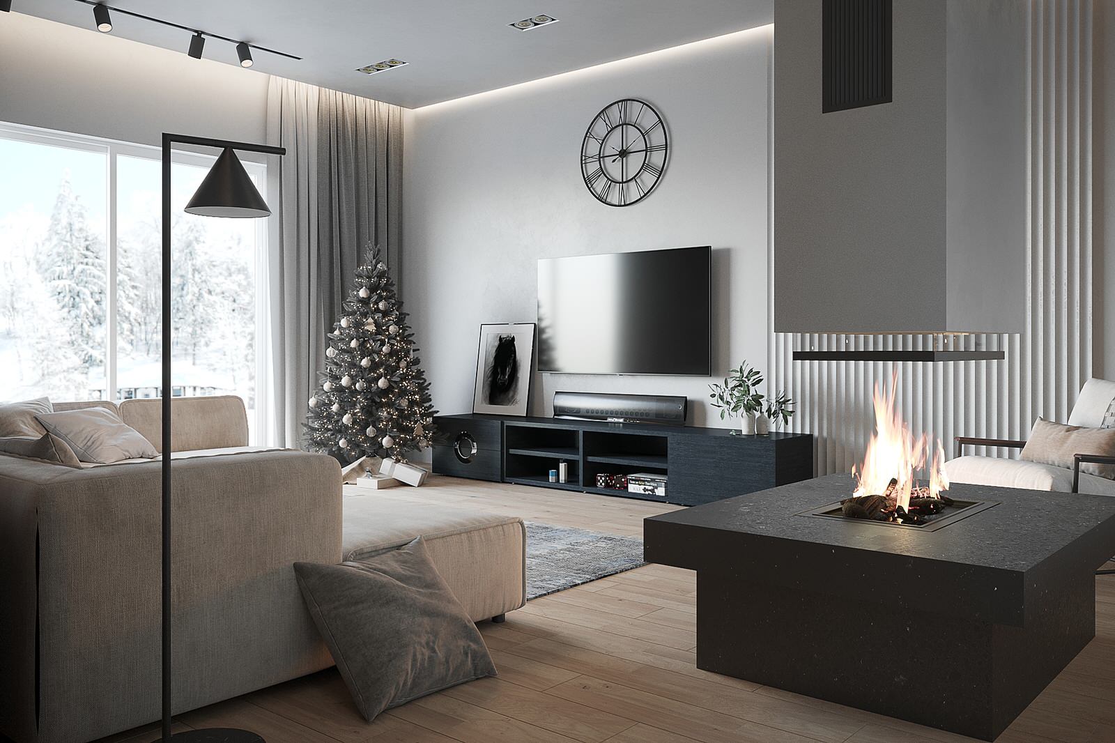 Вид на зону ТВ