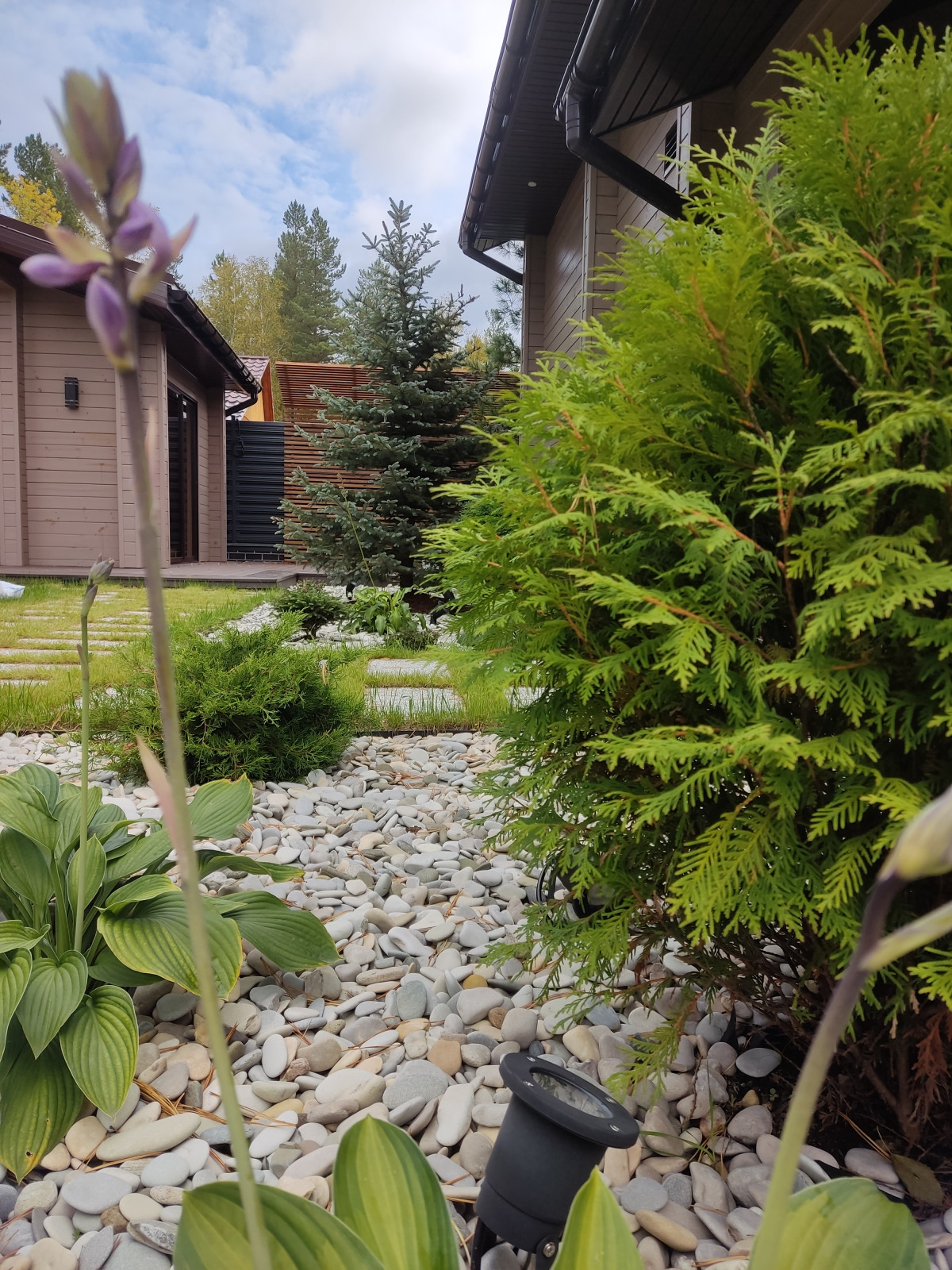 Денис Светлый Яр