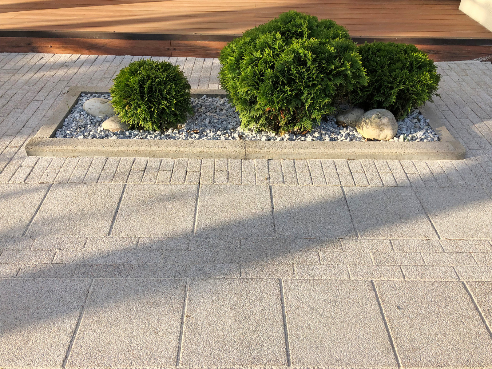 Восточный ветер