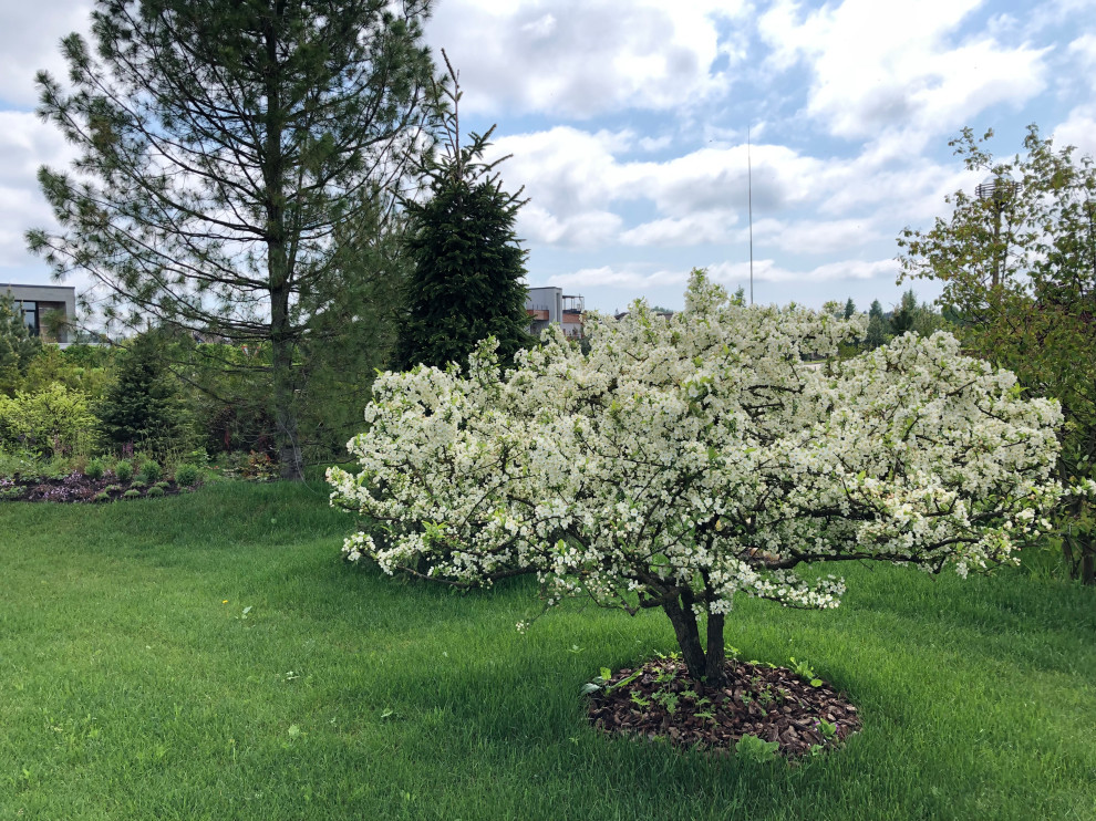 КП Пестово "Evergreen'