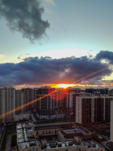 Анастасия Ходус