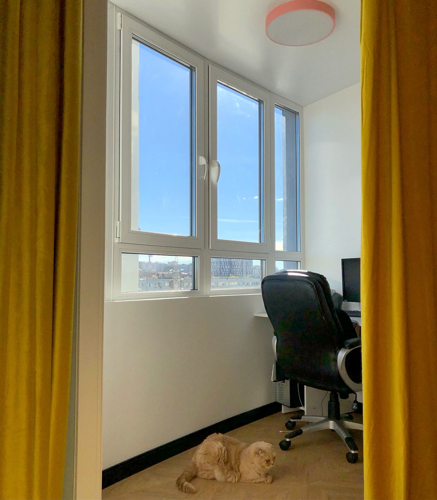 Дарья Каменец