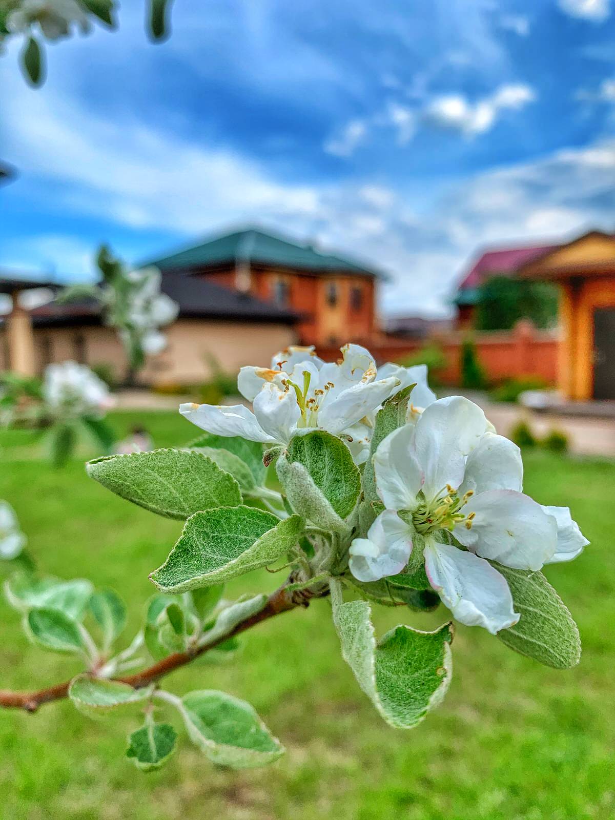 Ландшафтный дизайн в п. Молодёжный (Иркутск)
