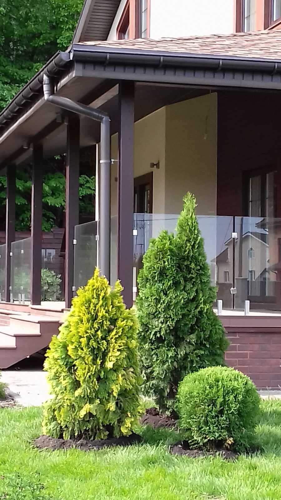 Обложка проекта: Дизайн участка: "Солнечный Сад"