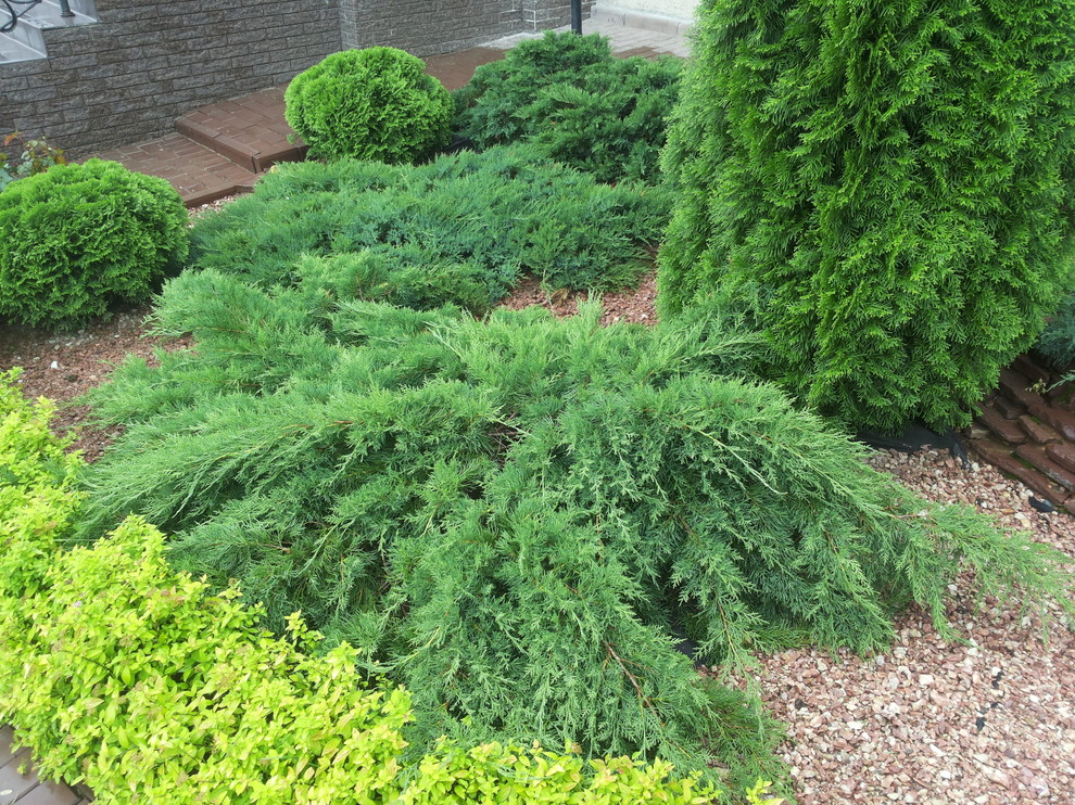 Автоматический полив в Московской области