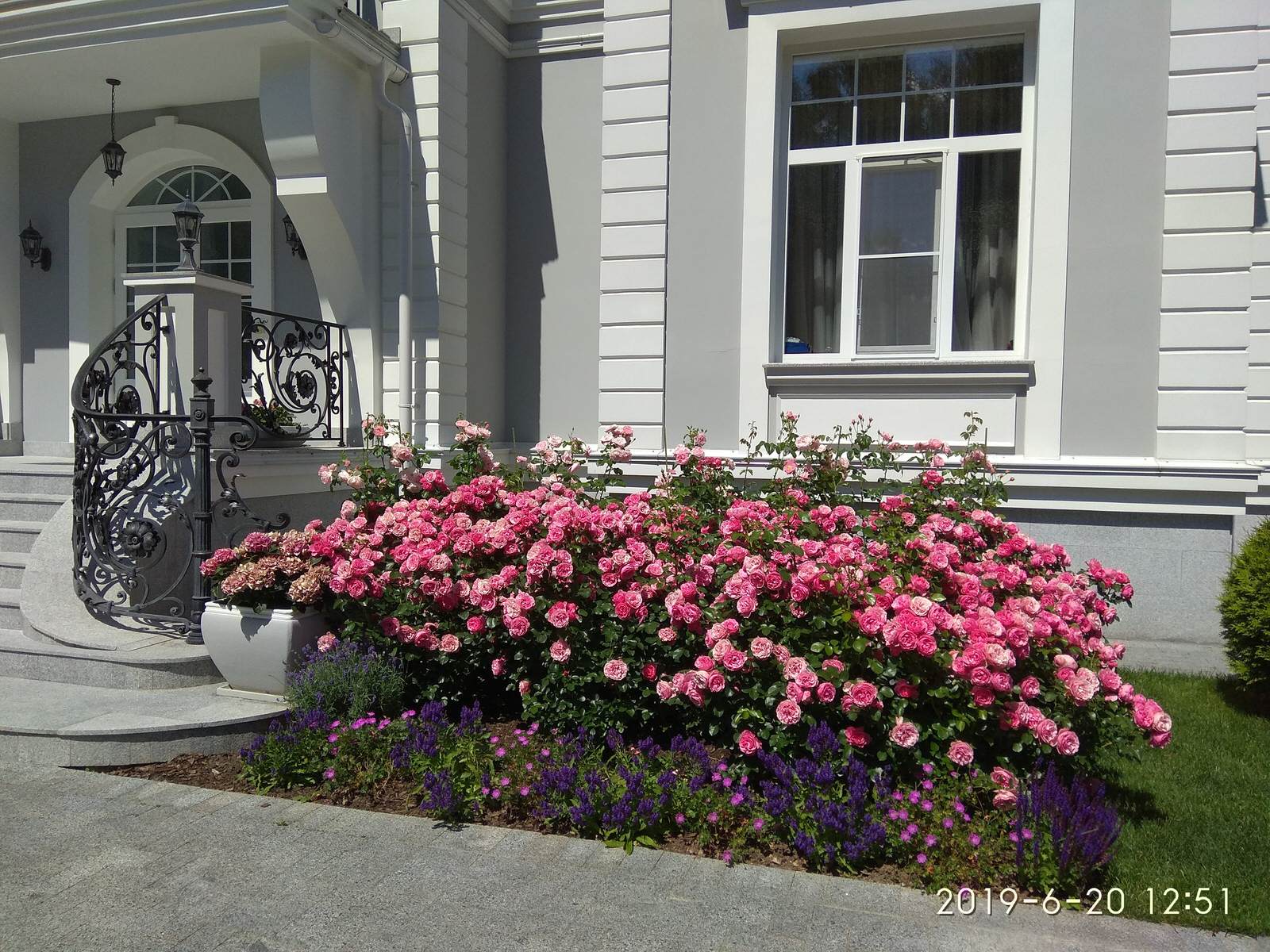 Обложка альбома: цветники