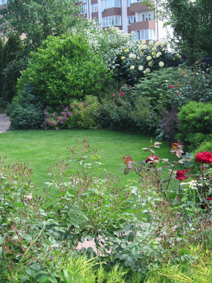 Ландшафт в пейзажном стиле с плавательным прудом 12 соток