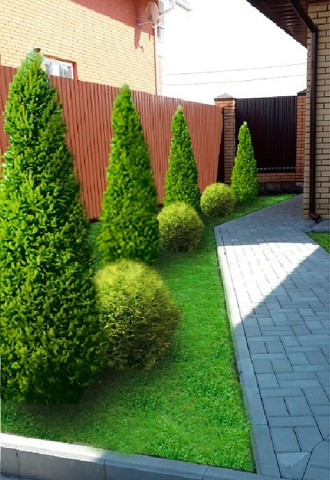 Проект « Сад для семьи»