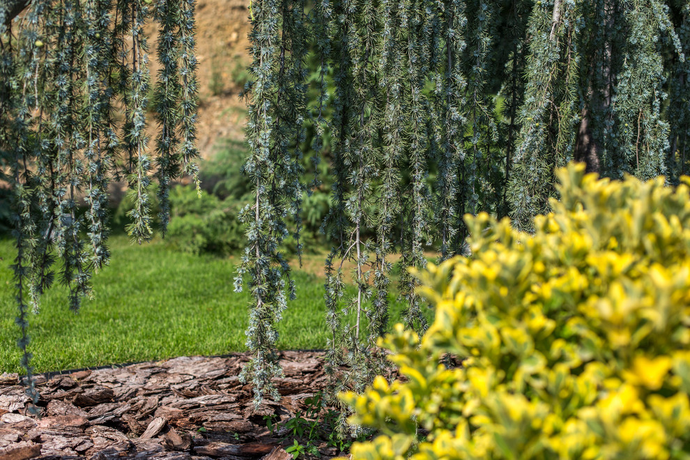 Ландшафтный Дизайн Олимпийский Сочи