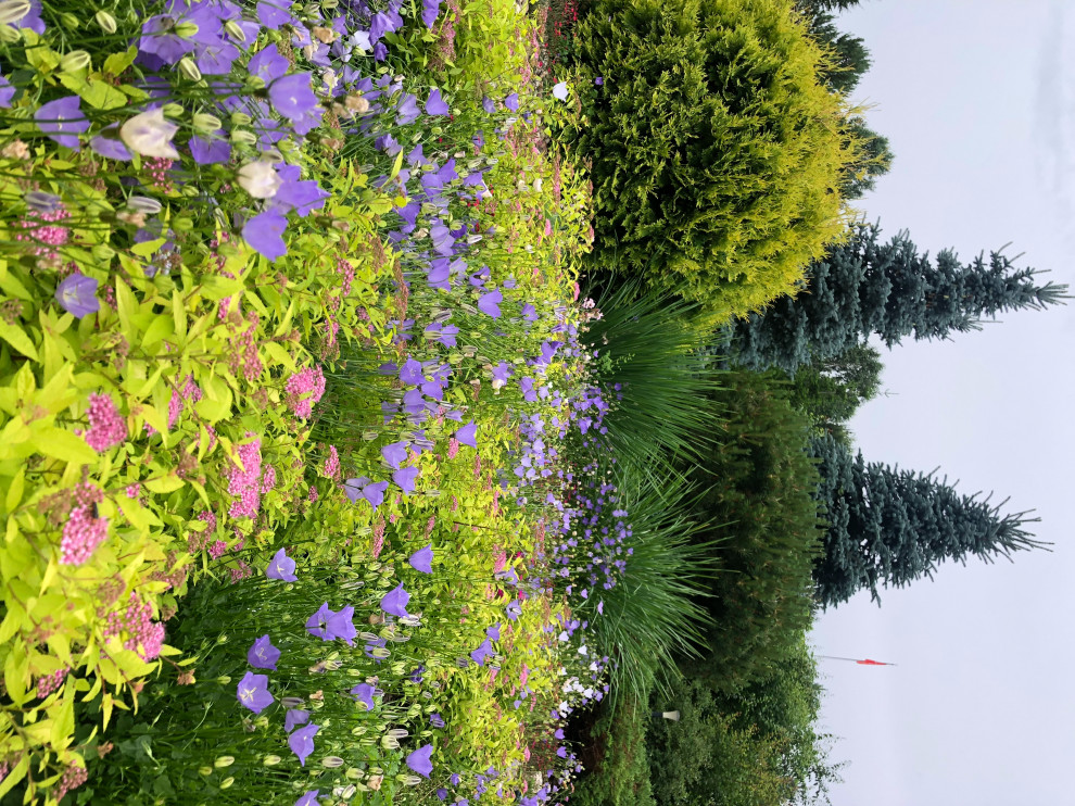 Реализованные проекты