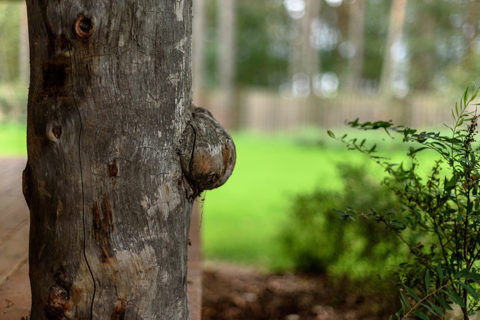 Баня в Ораваниеми