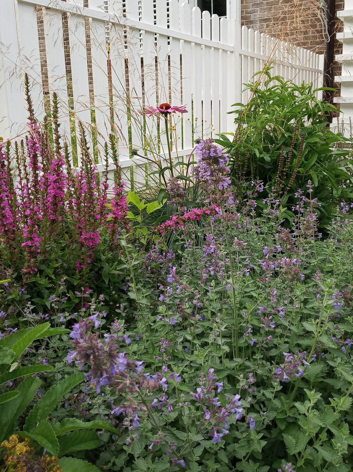 Английский садик