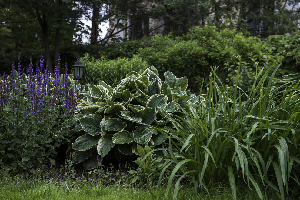 В гостях: Сад в идеальной форме... круга