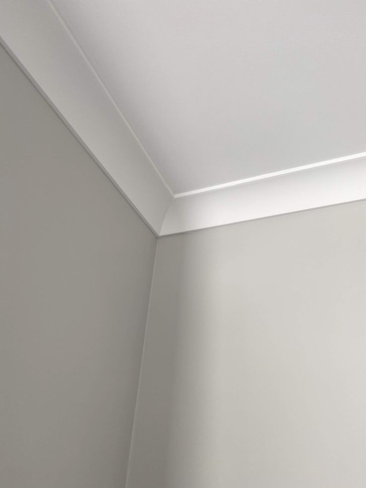 Дана Мовиляну