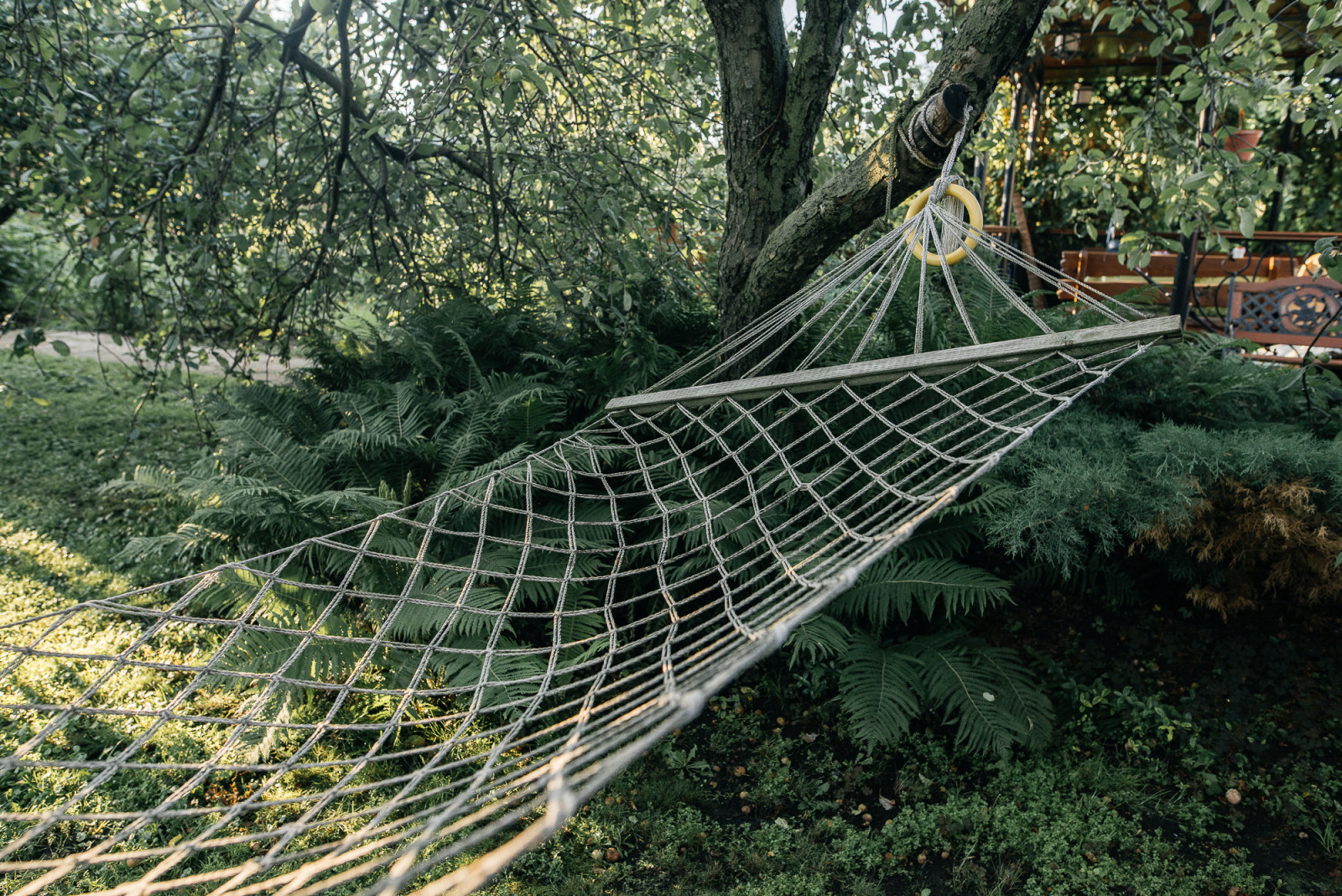 Обложка проекта: Новоселки