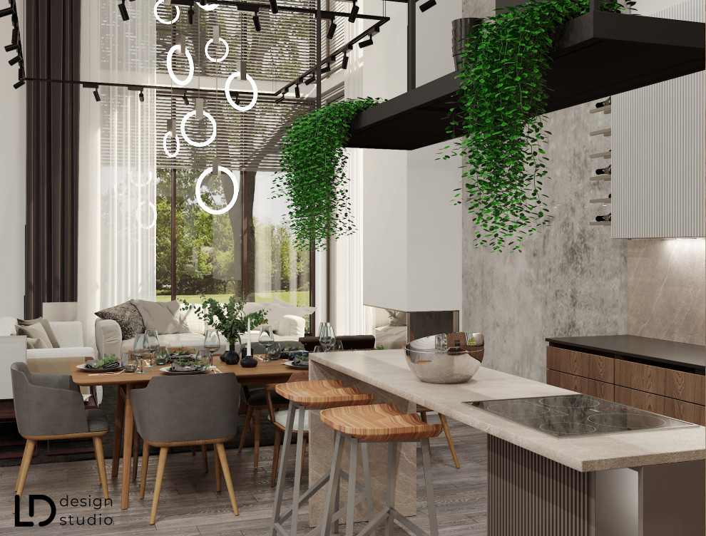 Кухня-гостиная