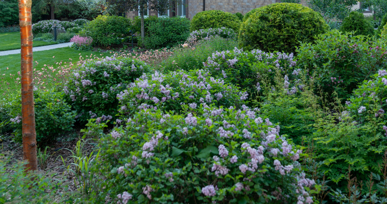 Круговорот  цвета. Дубровка 2021