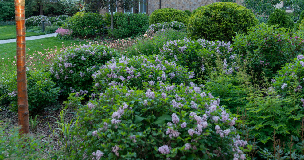 Круговорот цвета. Дубровка 2021