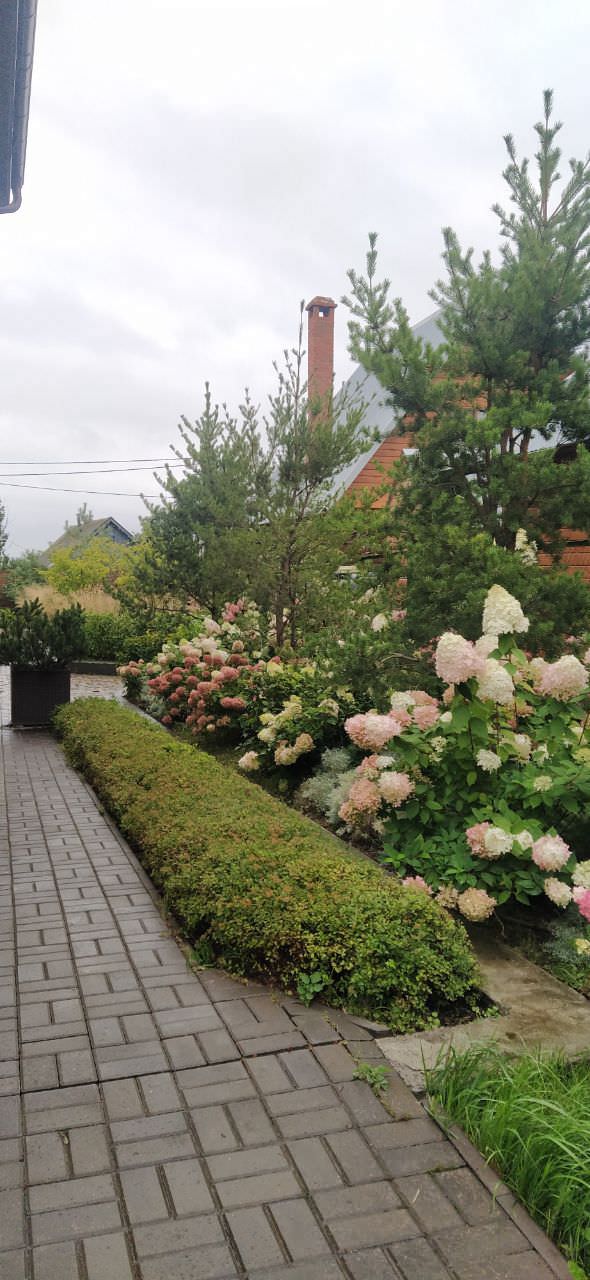 Le jardin de nostalgie