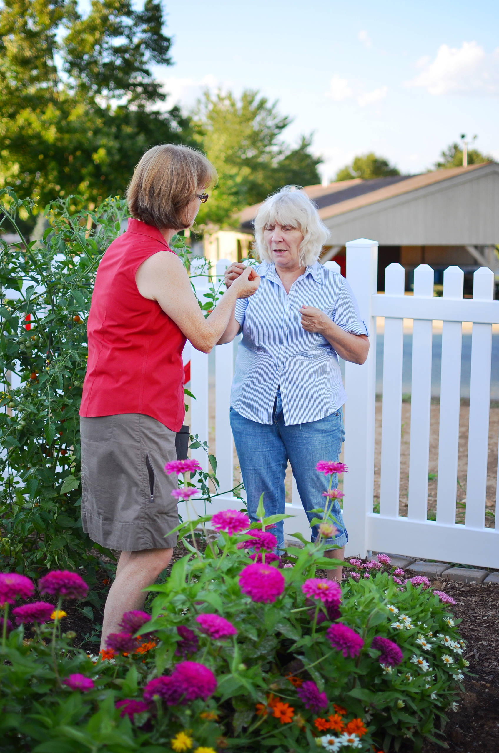 Приоритеты: Как ухаживать за садом, если у вас нет опыта