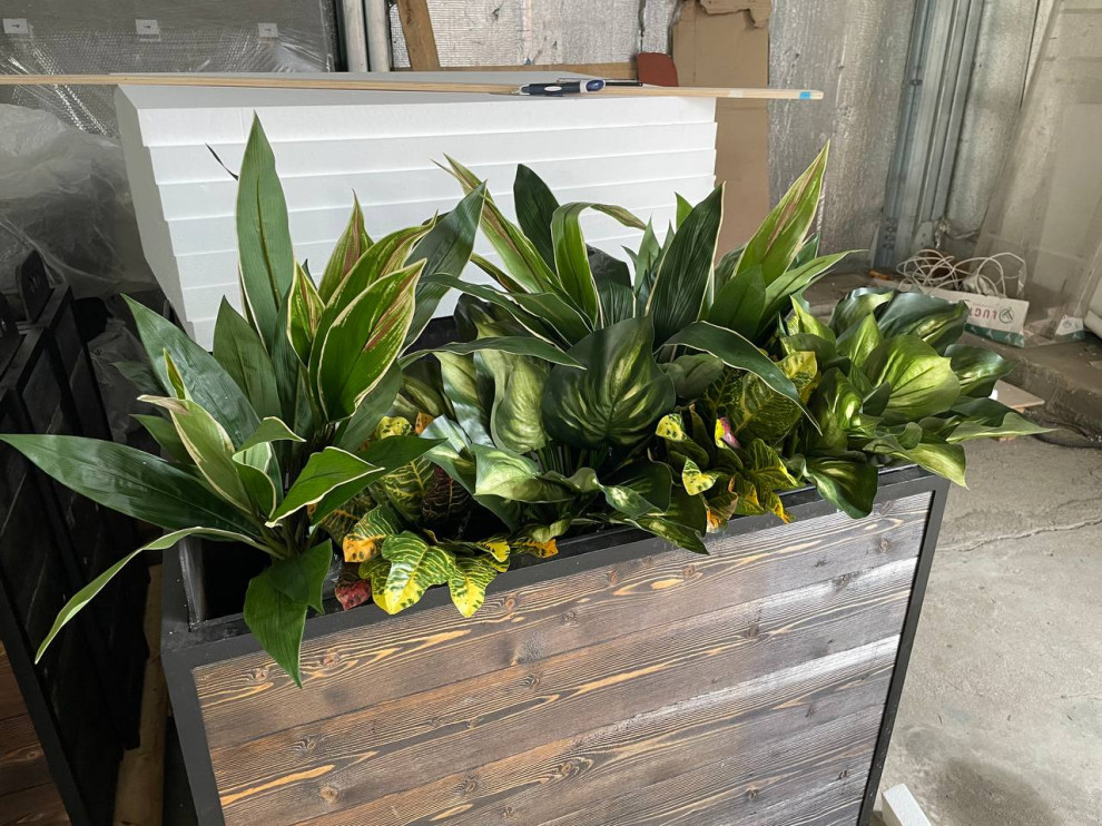 Ресторан FRANK на Рубинштейна г. Санкт-Петербург