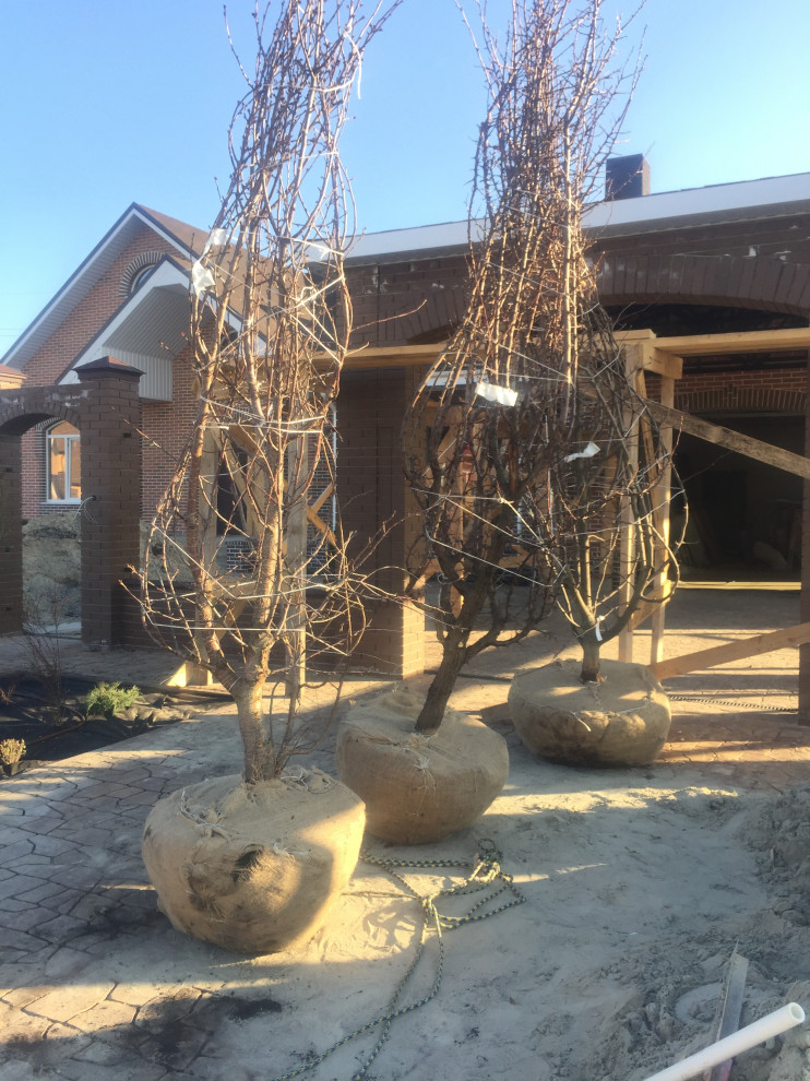 Московская