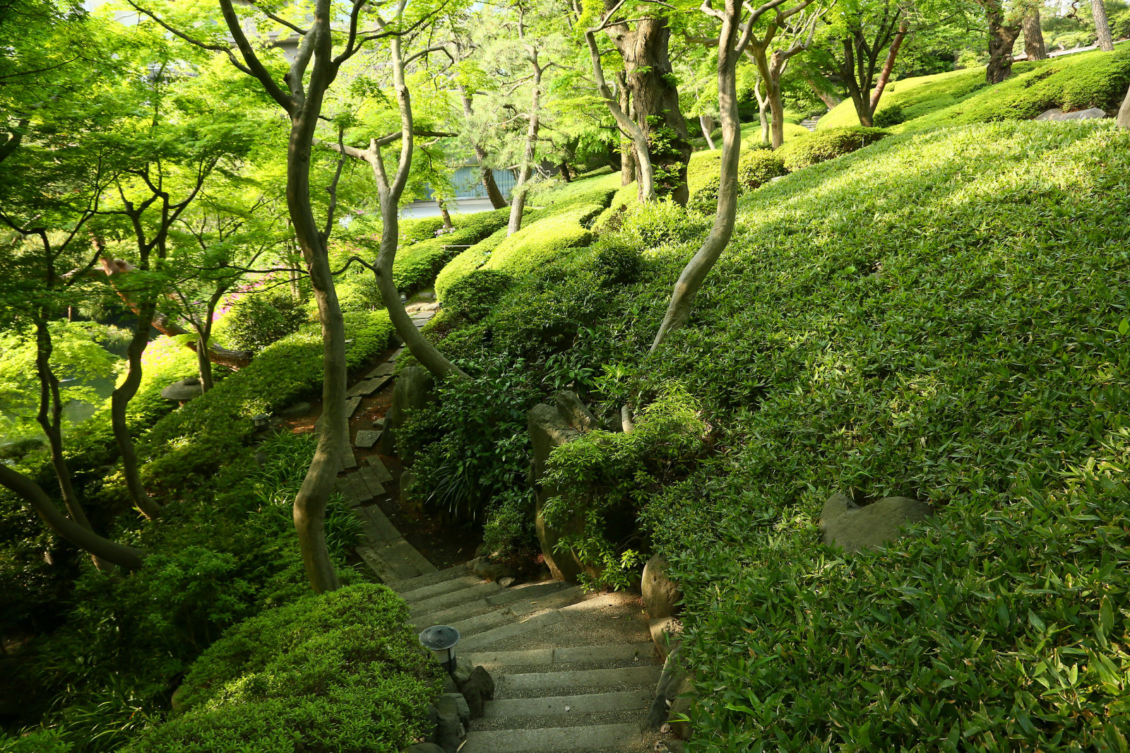 Исторический сад Happoen Garden, Tokyo, Japan