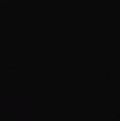 Антон Воронов