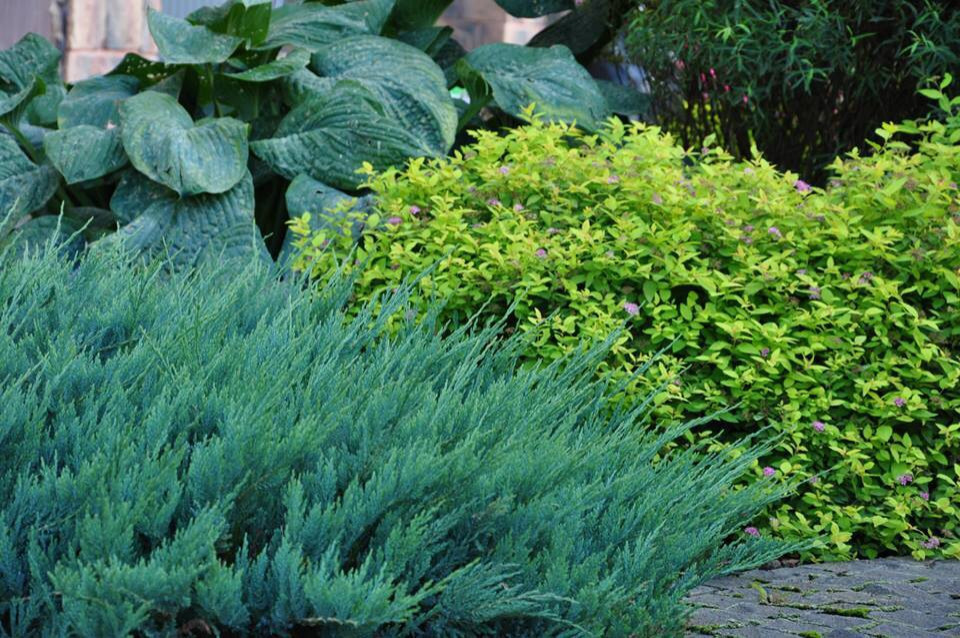 Сенькино московская обл