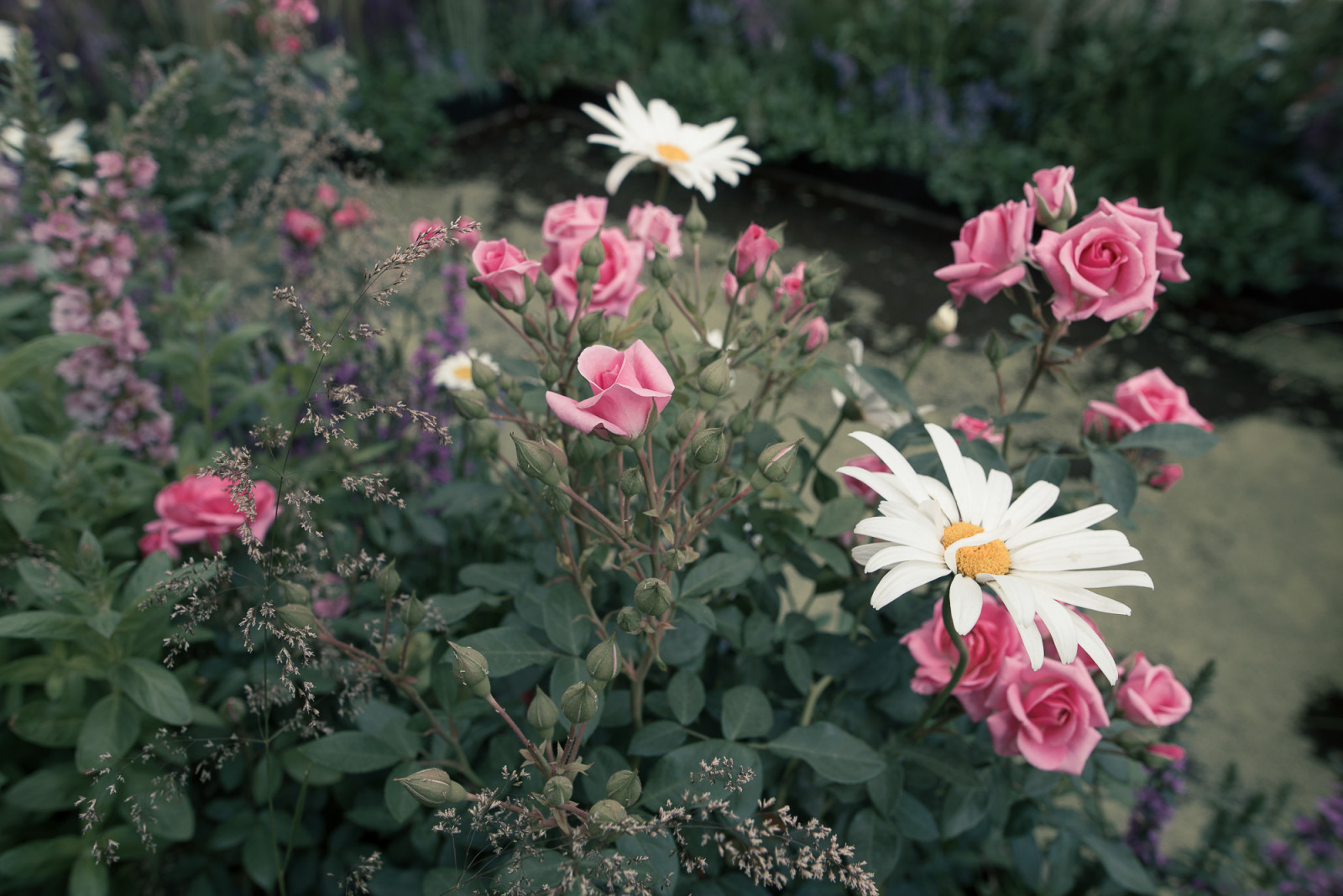 Обложка проекта: Grain de Perle (Зерно Жемчужины)