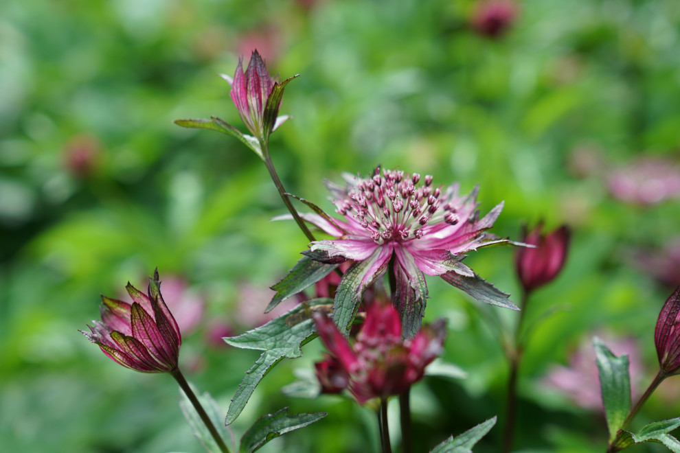 Вилла в стиле Райта. КП "Грибово" 2018 г.