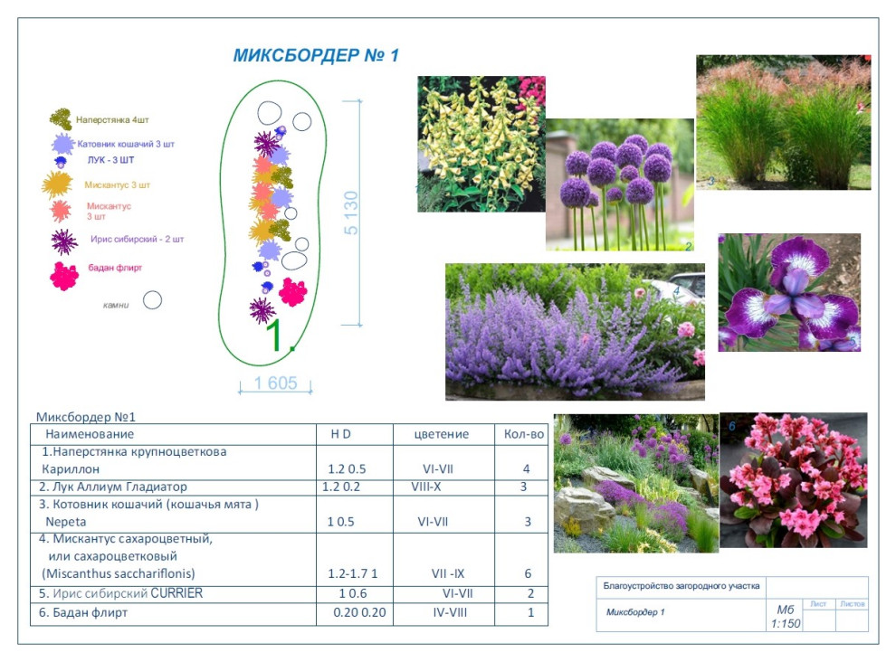 Дом с участком , дипломная работа.