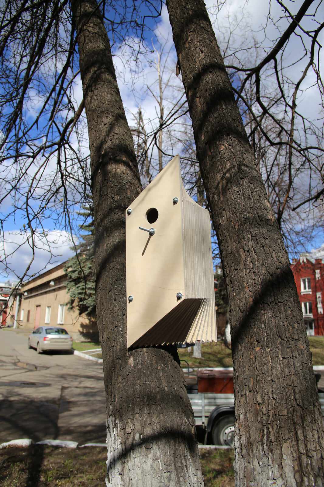 Обложка проекта: Скворечник