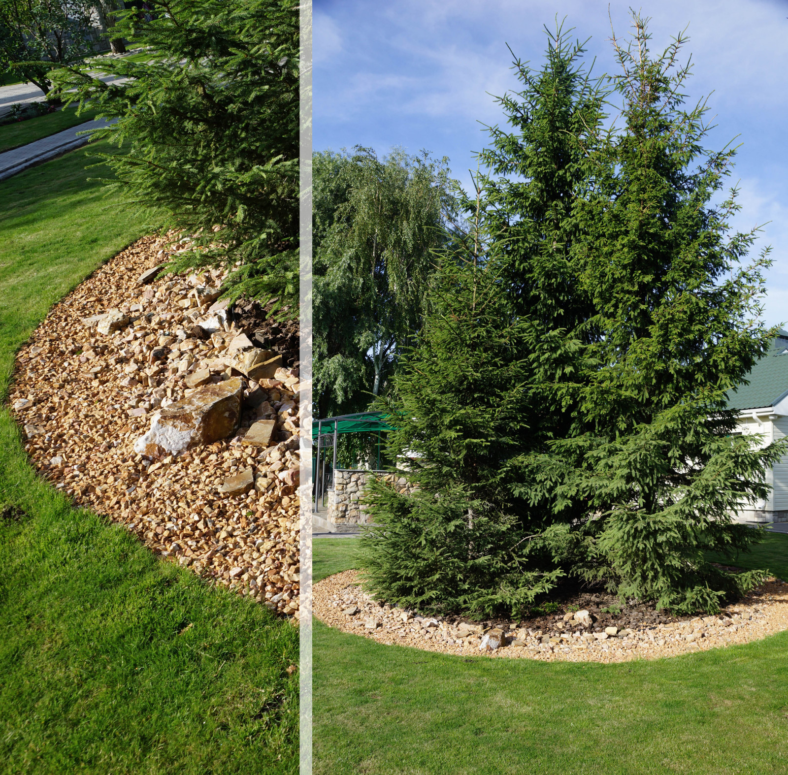 Parusnoe, Voronezhskaja oblast