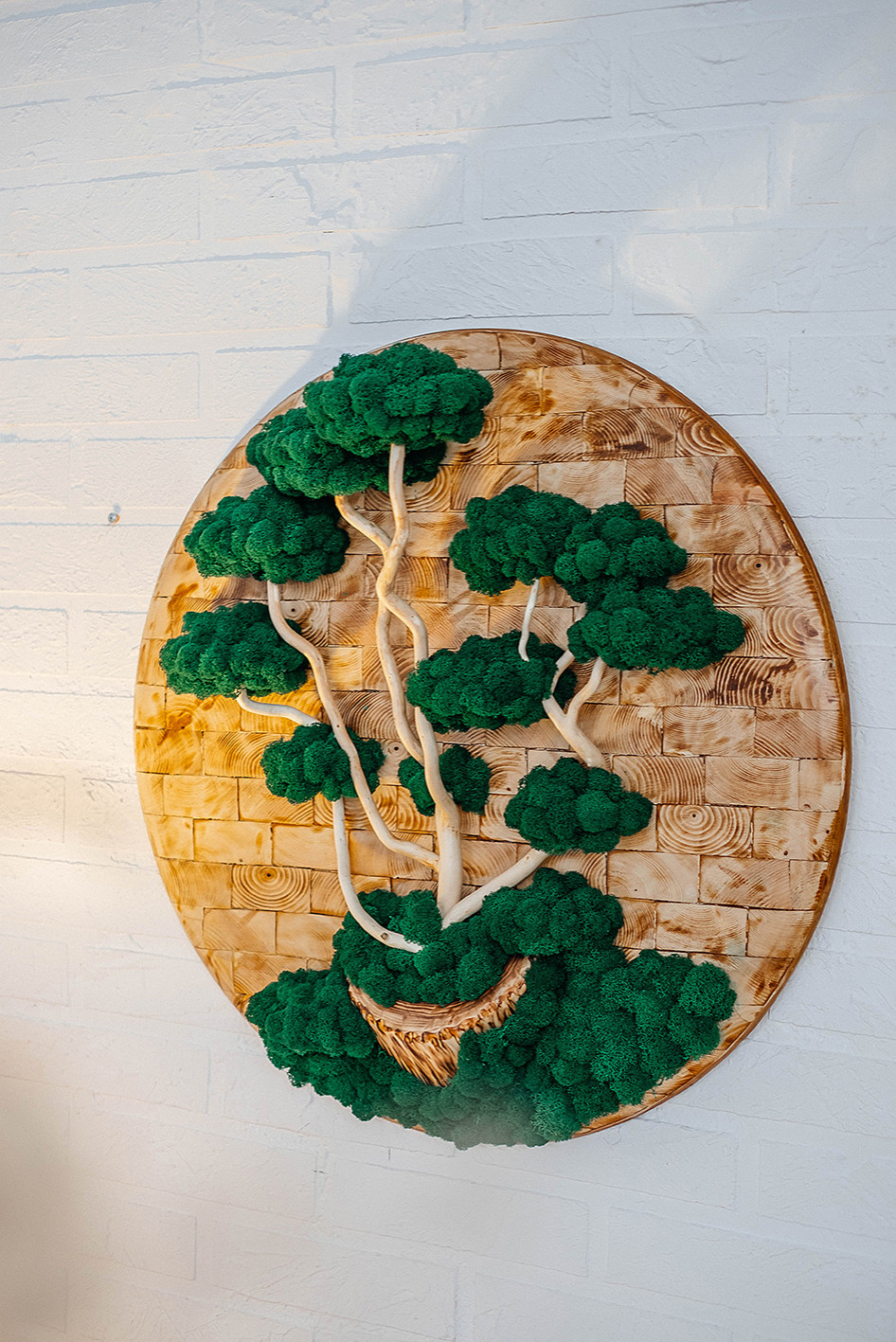 Фито-картины