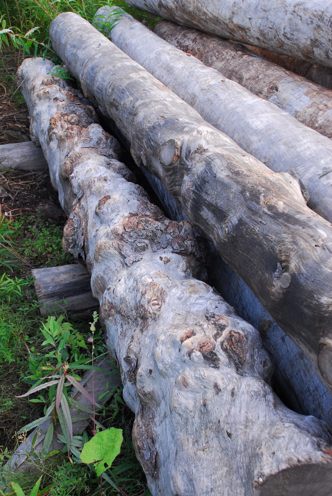 Производство и заготовка