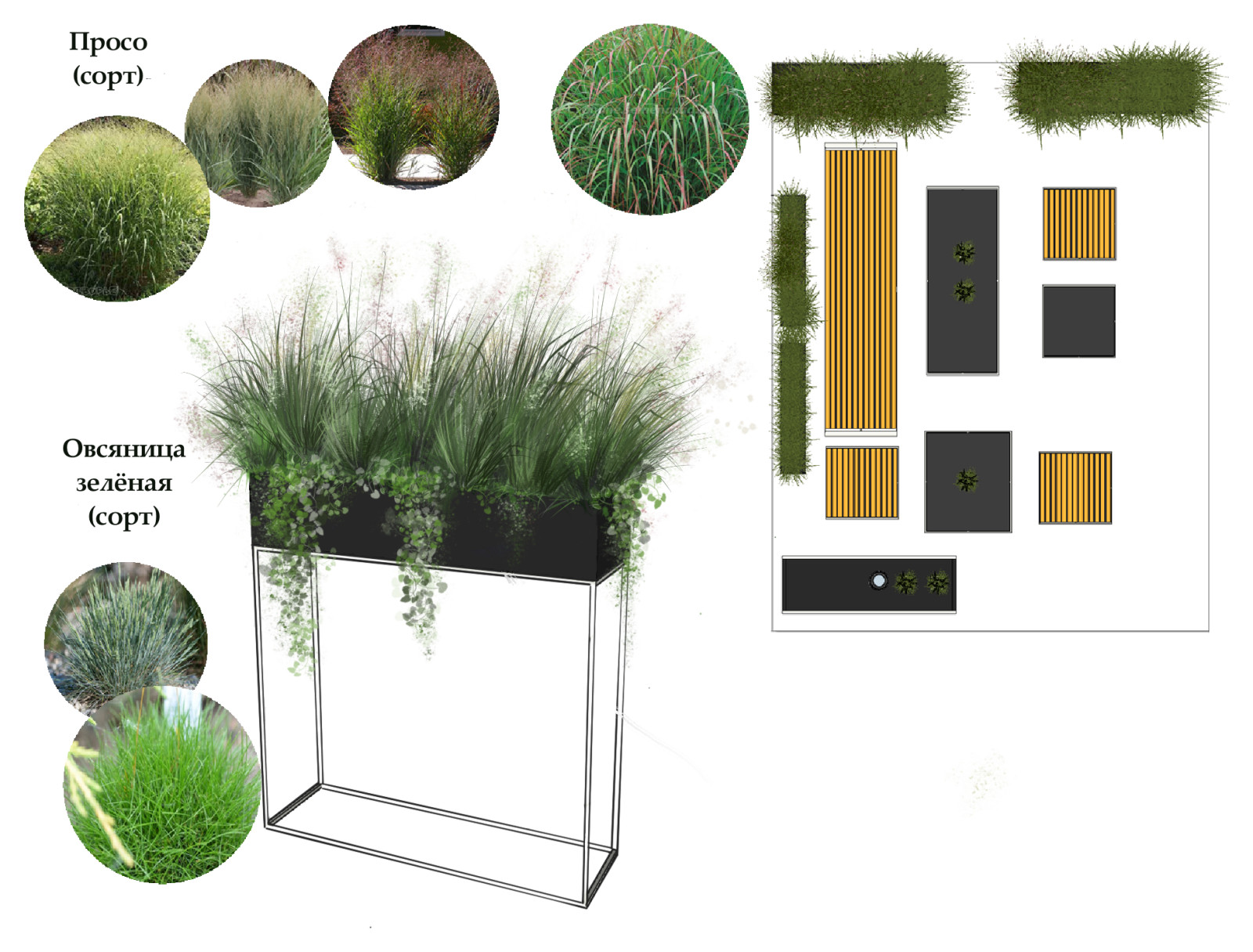 Обложка проекта: Озеленение летних веранд ресторанов