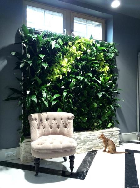 Фитомодуль загородный дом