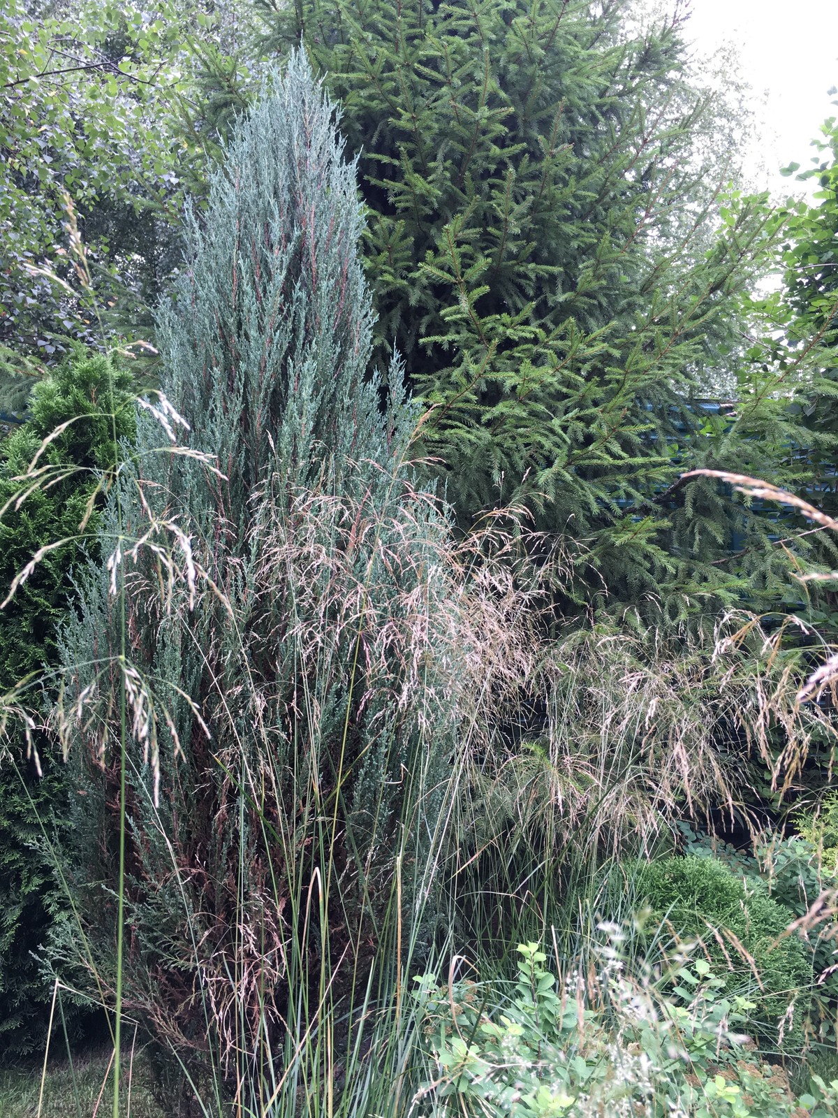 Сад на Новой Риге