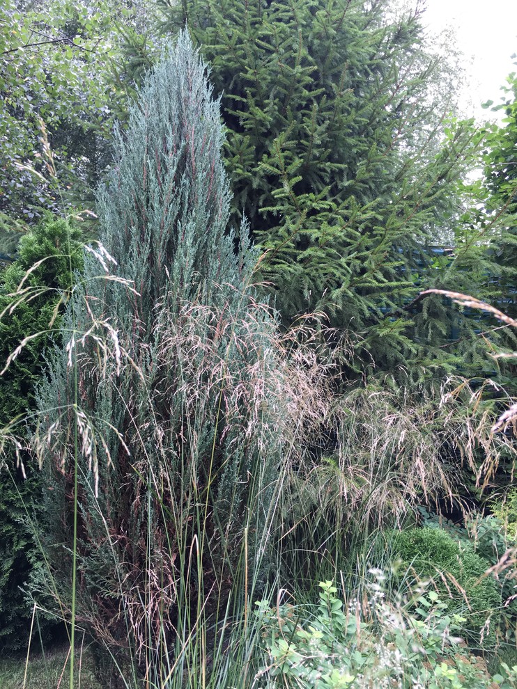 Сад на Новой Риге