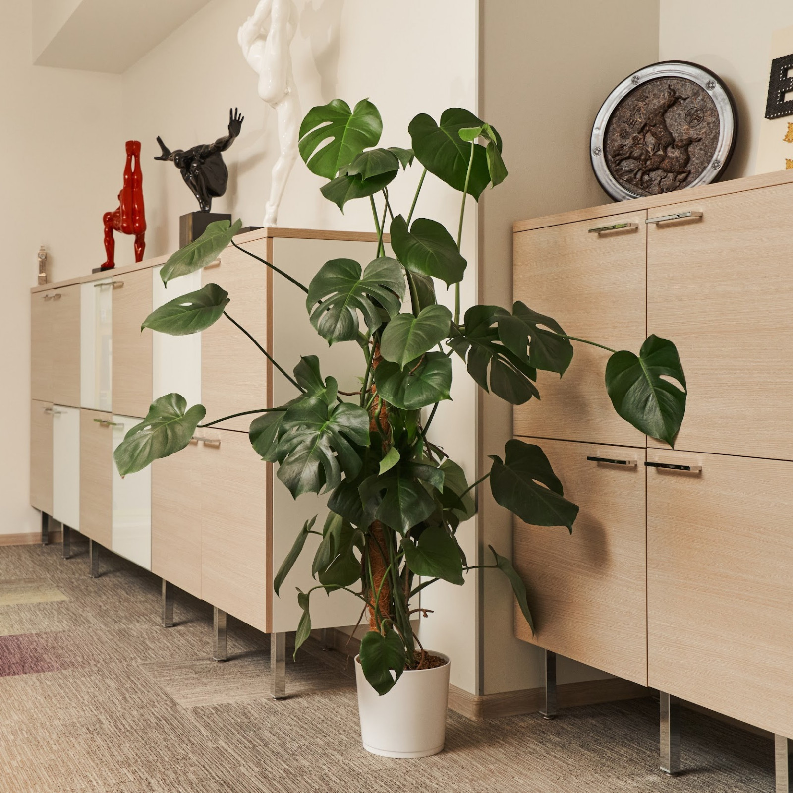 Обложка проекта: Озеленение офиса Endo Stars