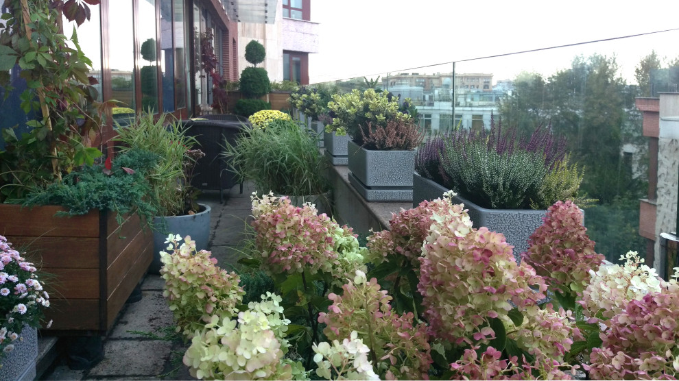 Сад на балконе