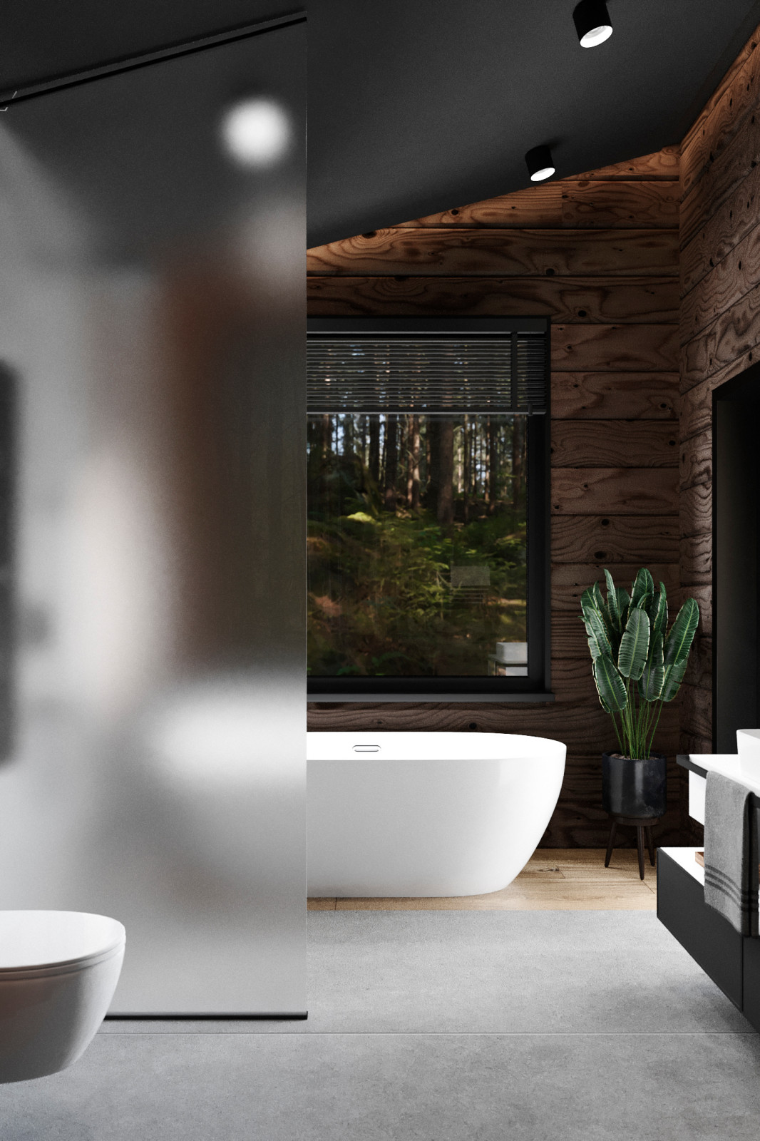 Обложка проекта: Проект дома в тульской области, село Богословское