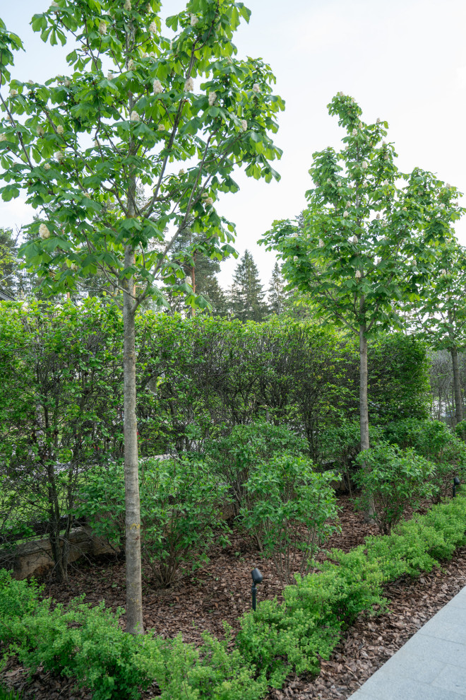 Ренессанс Парк 2022г