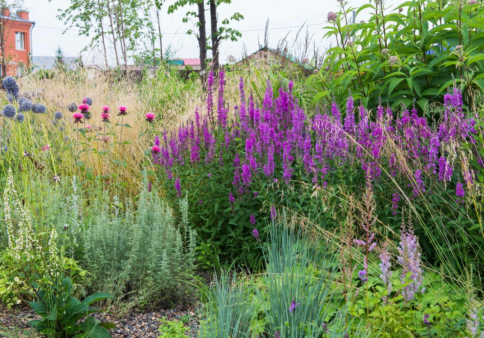 Цветник в  природном стиле  (" New Perennials"  или "Новая волна")