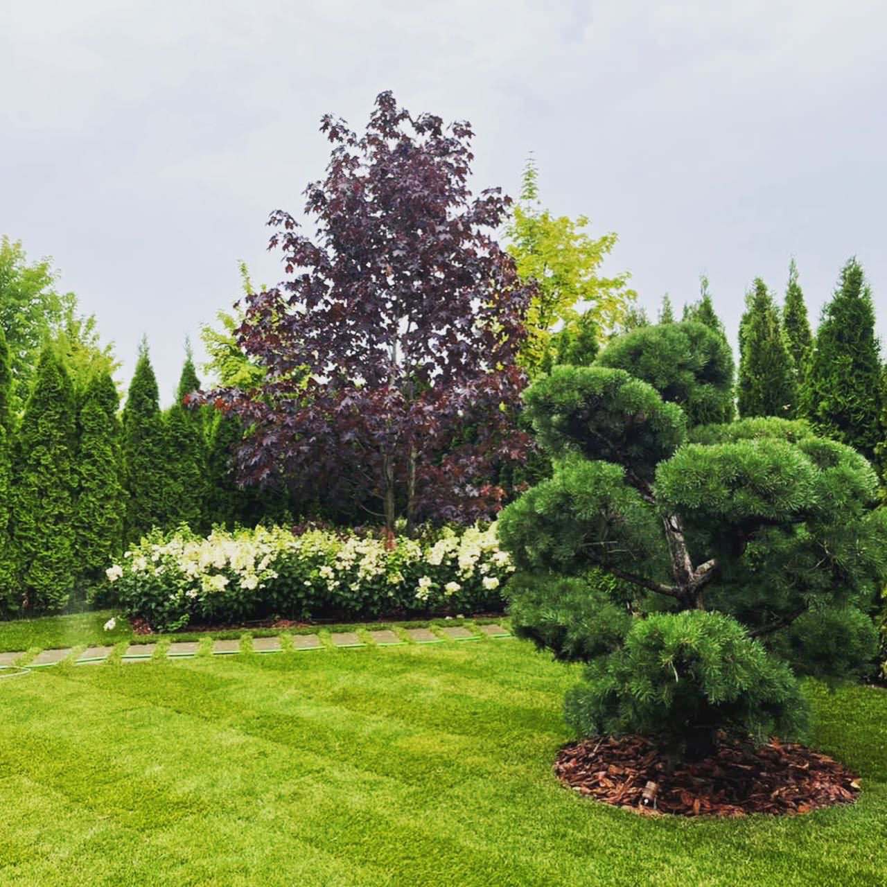 Обложка проекта: Сад у таунхауса