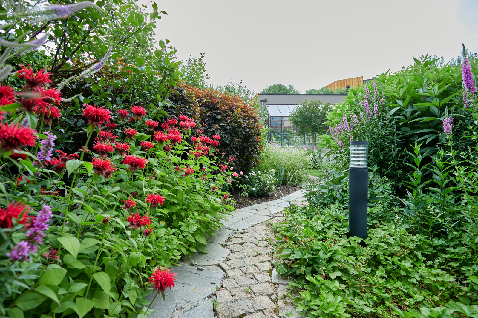 Сад свежести