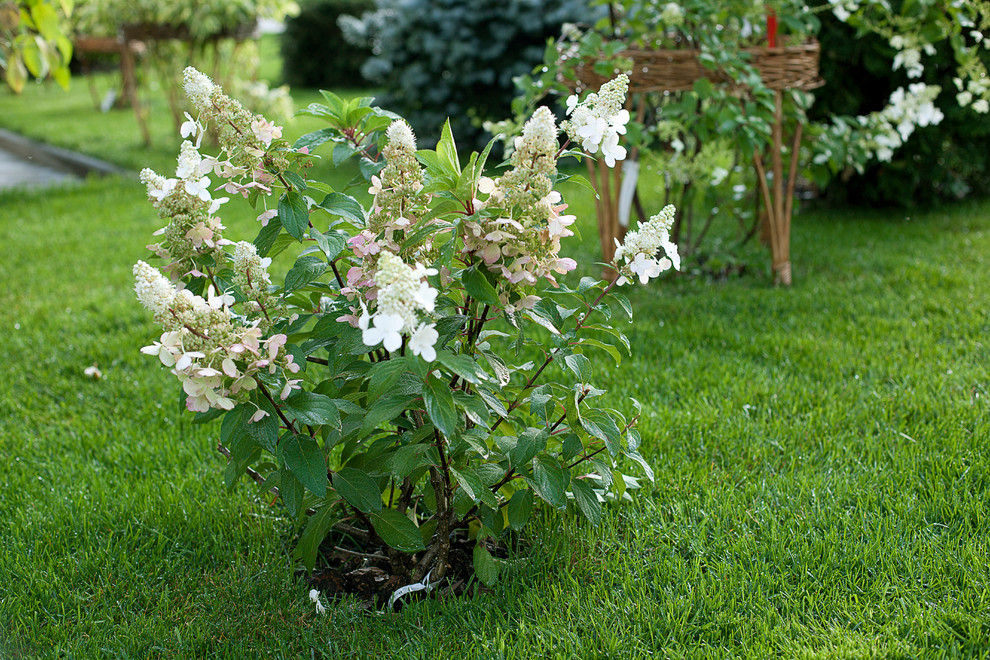 Вавиловец 1